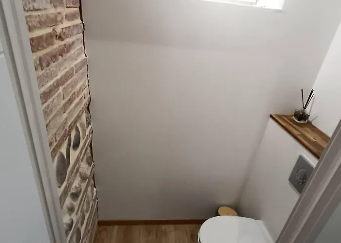 Διαμέρισμα Le Nid Du Volvestre